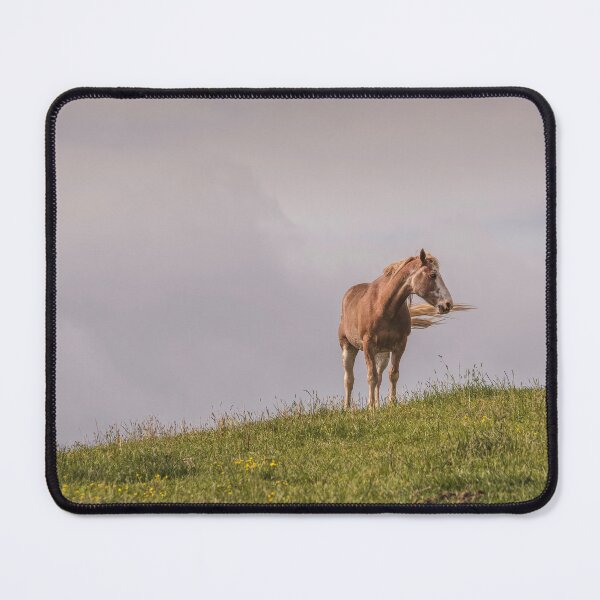 Item preview, Soft Cool Spring Breeze designed and sold by Jim Love.