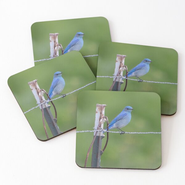 Item preview, Mountain Bluebird designed and sold by CarolM.