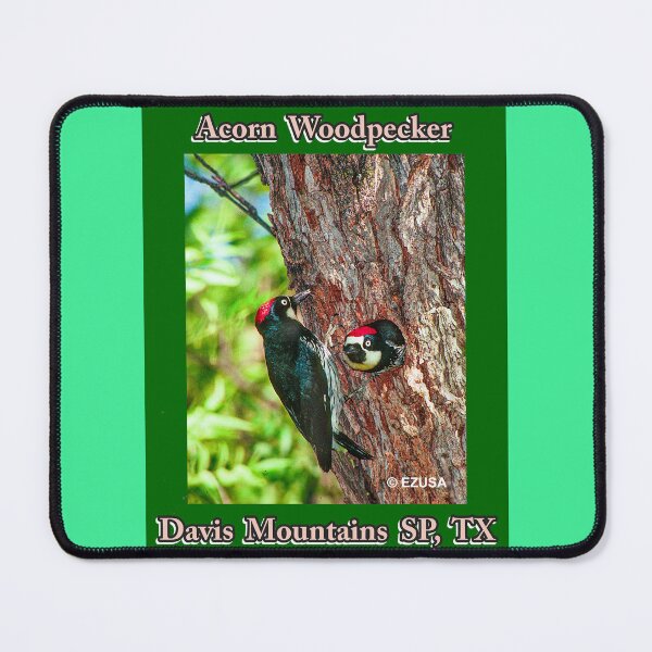 Item preview, The Perfect Gift For A Bird Lover: Acorn Woodpecker Couple At Davis Mountains SP, Texas designed and sold by MoreEZUSA-Here.