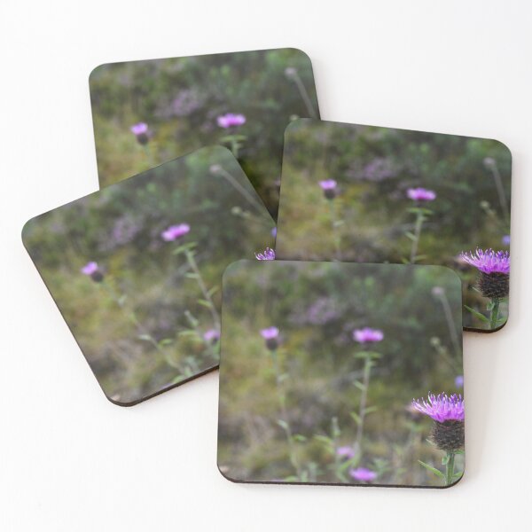 Item preview, Spider and Thistle designed and sold by jyoungblut8.