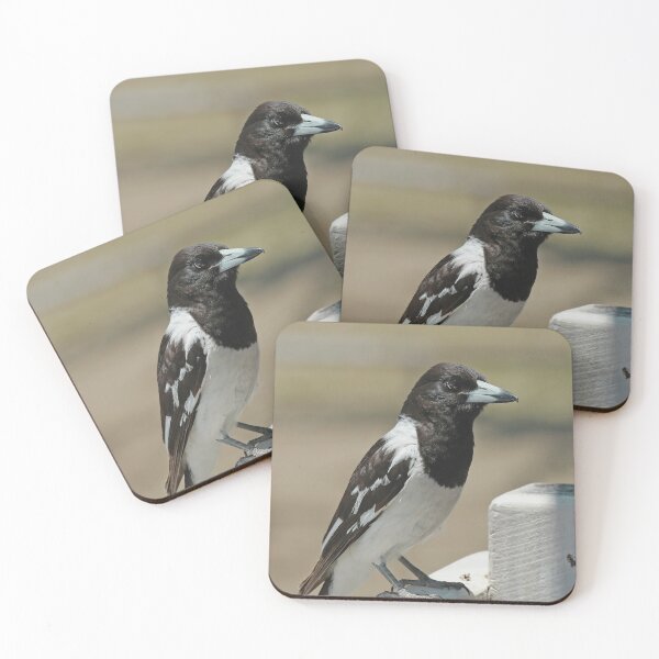 Item preview, Butcherbird Portrait designed and sold by My Artprintz.