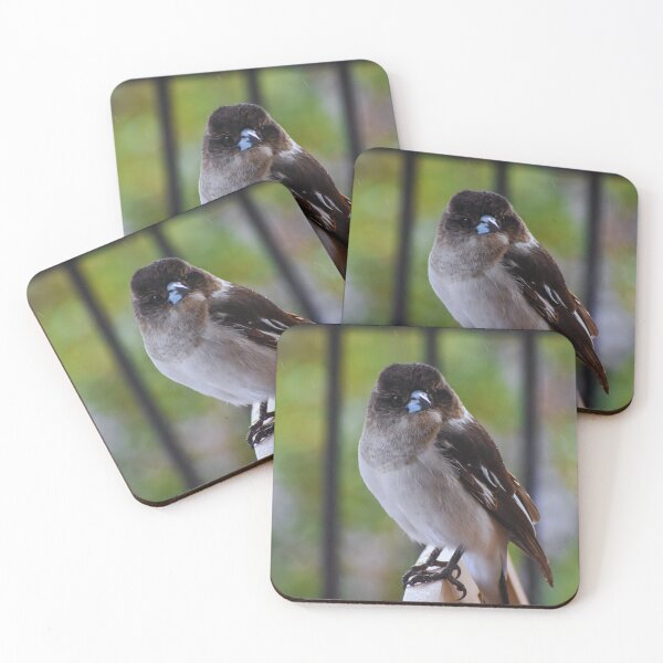 Item preview, Butcherbird Portrait designed and sold by My Artprintz.