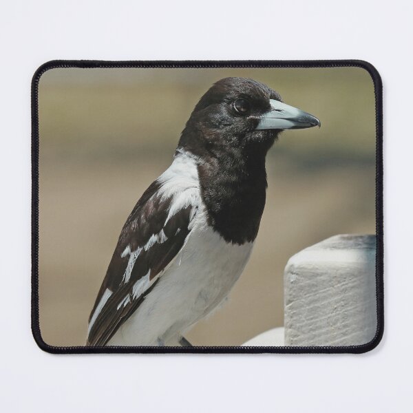Item preview, Butcherbird Portrait designed and sold by My Artprintz.