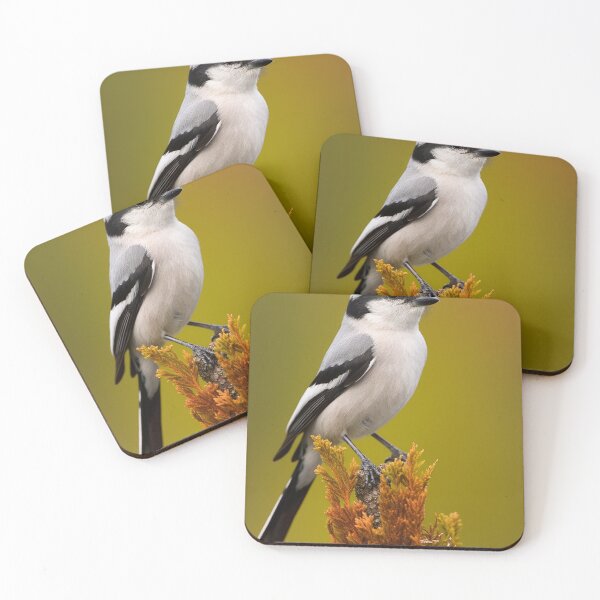 Item preview, Loggerhead Shrike designed and sold by DigitizedArt.