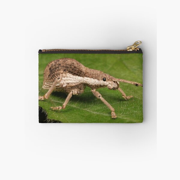 Item preview, Weevil designed and sold by itchydogimages.