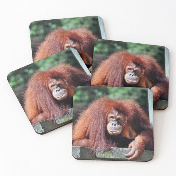 Item preview, Indah designed and sold by Savannah Gibbs.