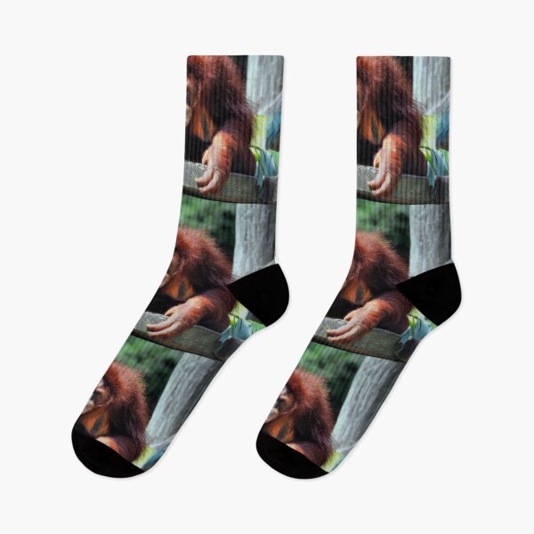 Item preview, Indah designed and sold by Savannah Gibbs.