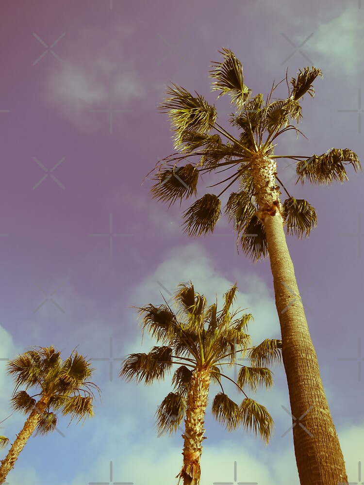Los Angeles Dodgers LA Palm Tree California Vinyl Decal 