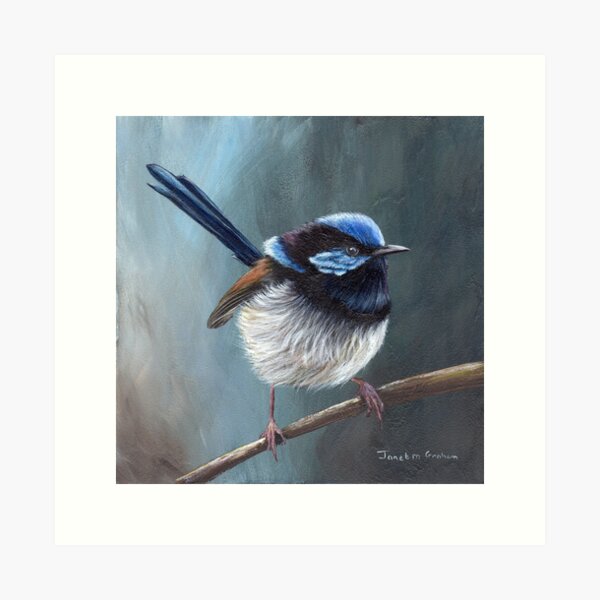 Item preview, Superb Fairy Wren - Australian Bird designed and sold by JanetMGraham.