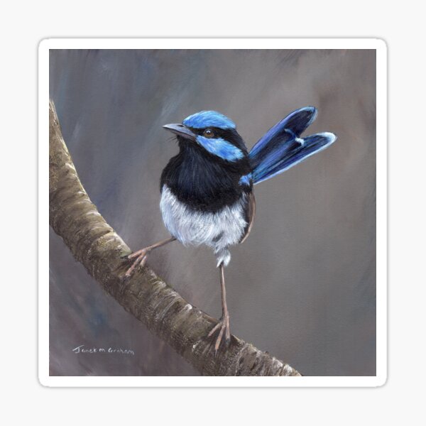 Item preview, Superb Fairy Wren - Australian Bird  designed and sold by JanetMGraham.