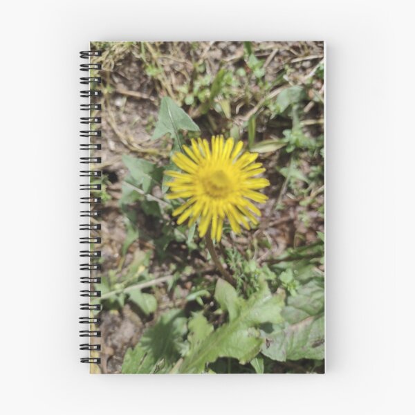 Item preview, Flor do campo  designed and sold by Marcelodesenho.