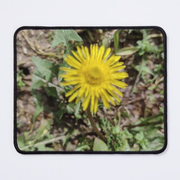 Item preview, Flor do campo  designed and sold by Marcelodesenho.