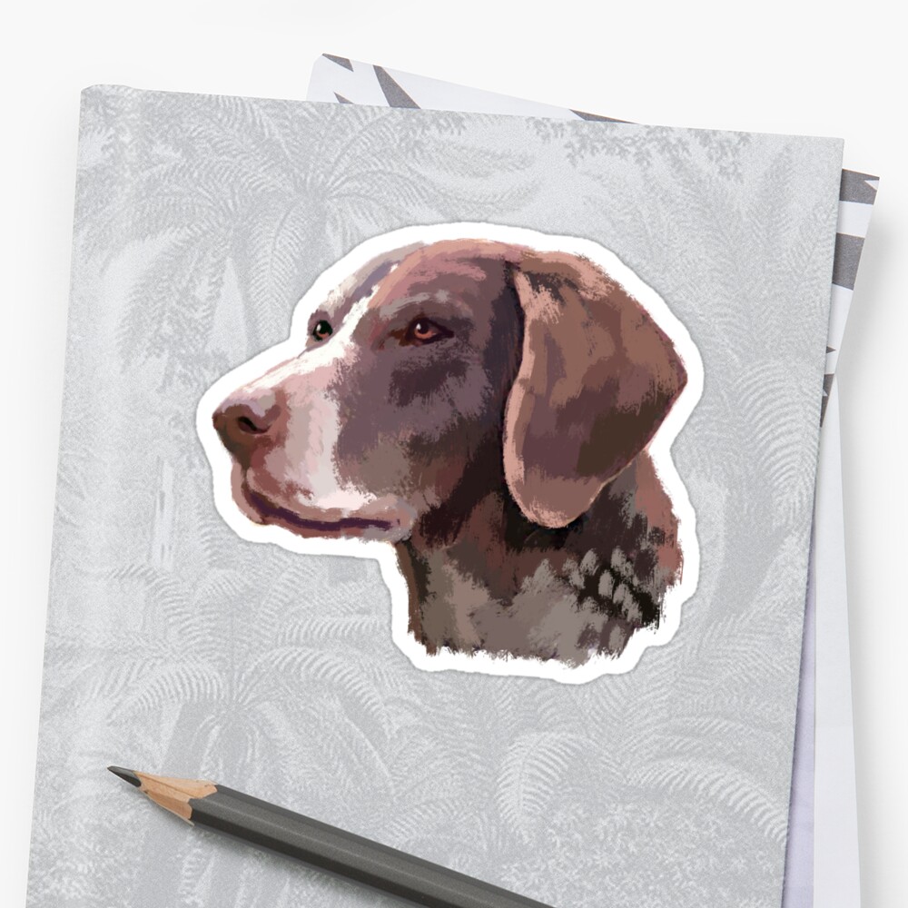 German Shorthaired Pointer Dog Stickers By Michaelrellov Redbubble