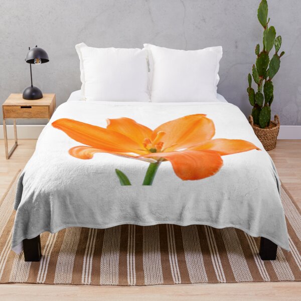 Item preview, Lilium  'Stainless Steel'  Asiatic lily   designed and sold by Chris Burrows.
