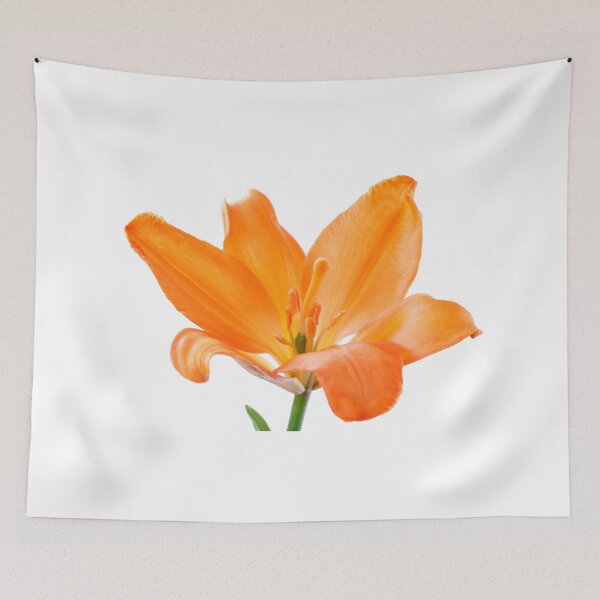 Item preview, Lilium  'Stainless Steel'  Asiatic lily   designed and sold by Chris Burrows.