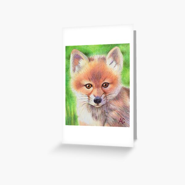 Cartes De Vœux Sur Le Theme Bebe Renard Redbubble