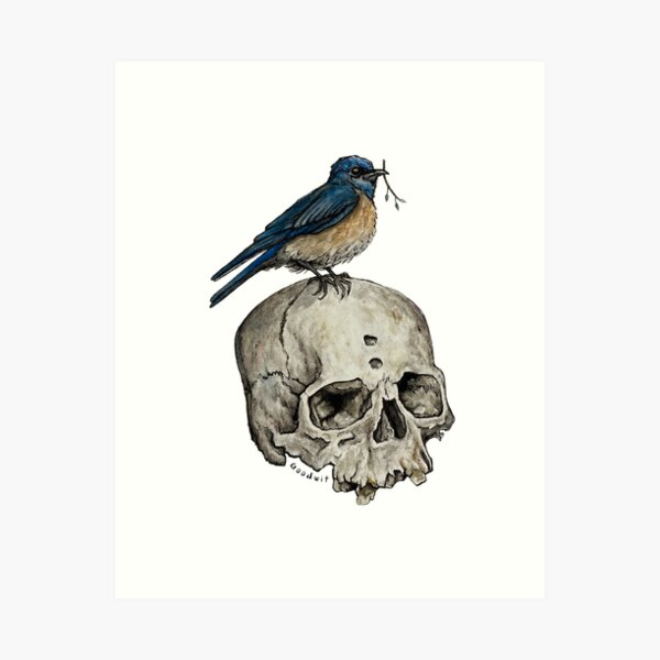 bird on a skull Art Print