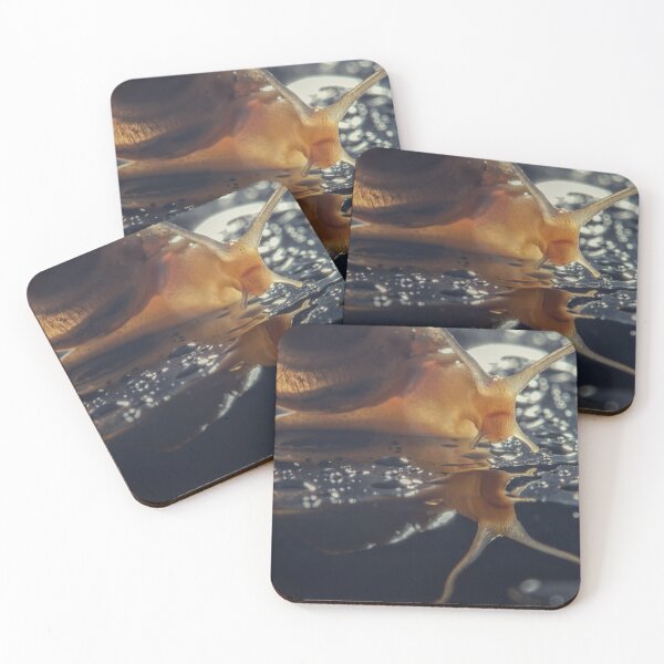 Item preview, pexels-wahyu-widiatmoko designed and sold by HattieHowe.
