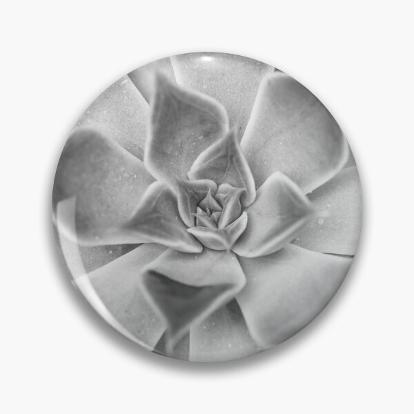 Item preview, Echeveria designed and sold by assaf.