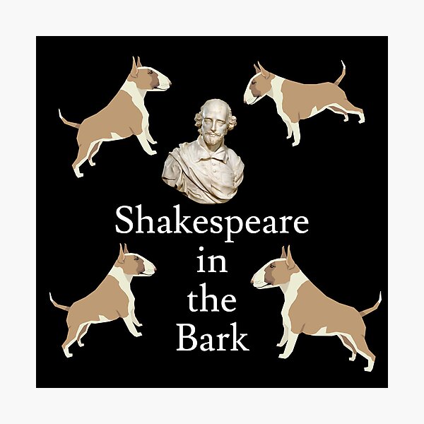 Shakespeare in the Bark Photographic Print