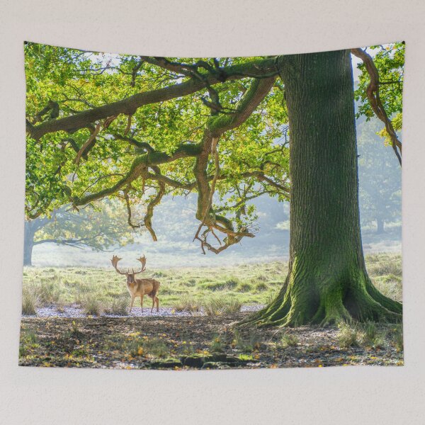 Item preview, Stag under an old oak tree designed and sold by assaf.