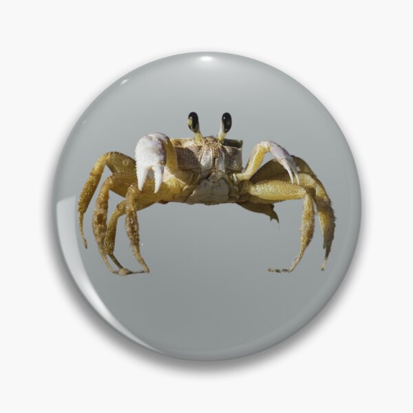 Item preview, Sand Crab designed and sold by RainbowSpinkle.