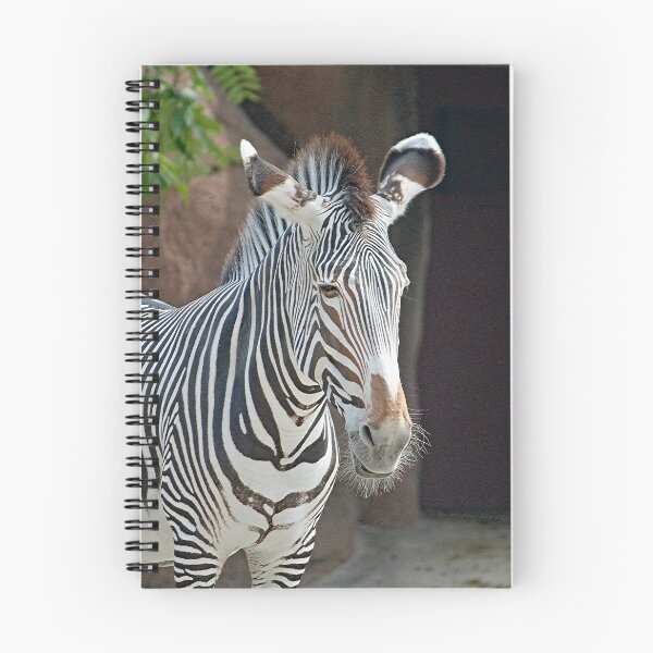 Item preview, Zebra 6935 designed and sold by Strawflower Oasis.