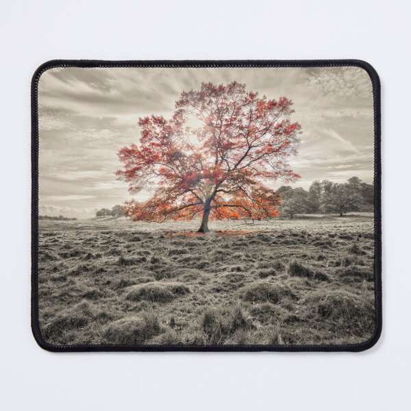 Item preview, Beauty of a Tree designed and sold by assaf.