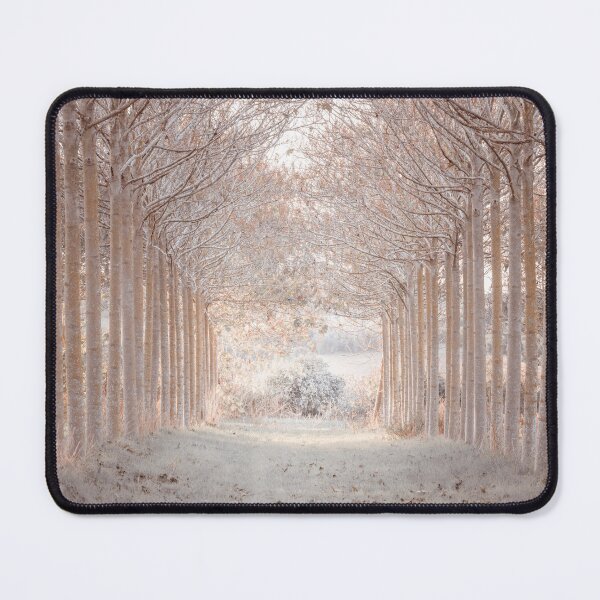 Item preview, Winter Forest designed and sold by assaf.
