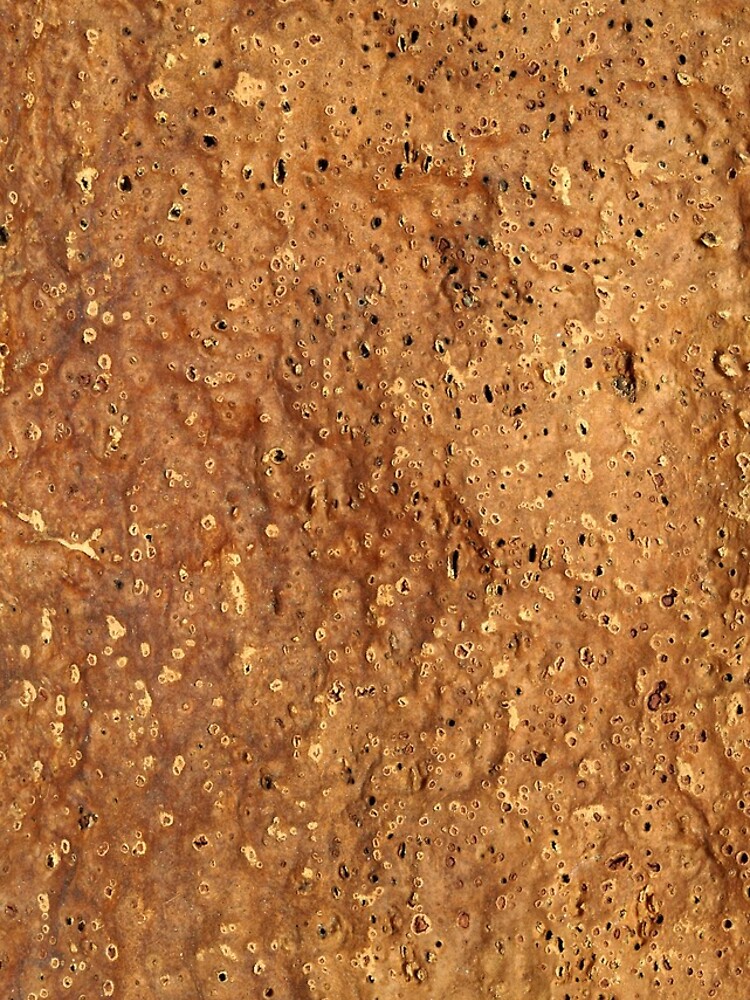 Cork Texture by wineimages