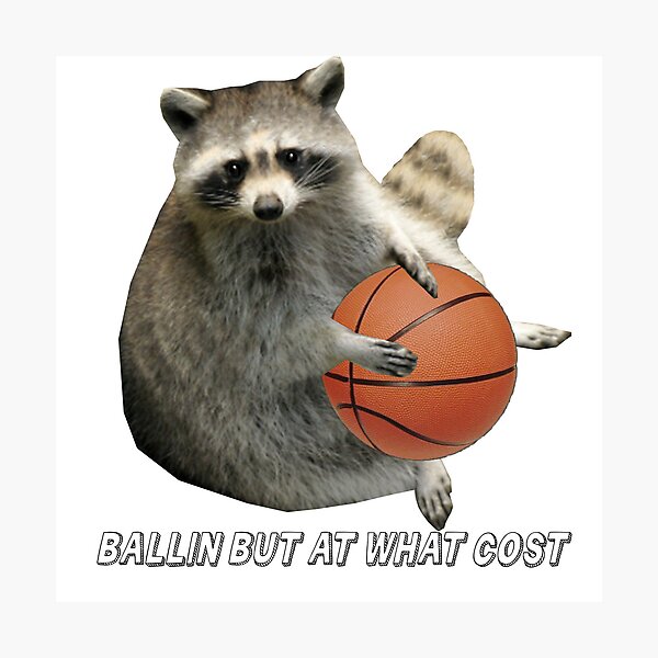 funny-gif-Panda-Mascot-basketball-ball - ELGL