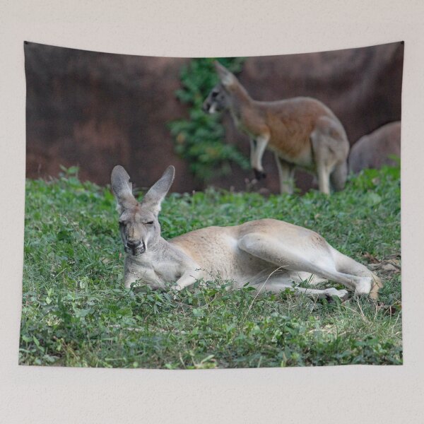 Item preview, Kangaroo designed and sold by Strawflower Oasis.