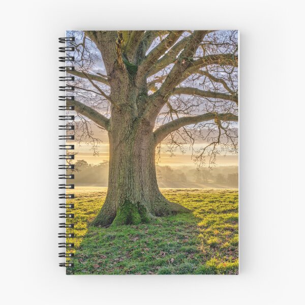 Item preview, Spreading Branches designed and sold by assaf.