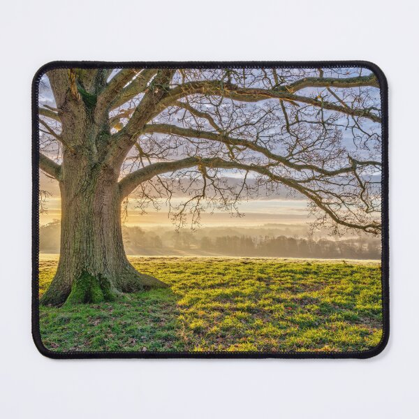 Item preview, Spreading Branches designed and sold by assaf.