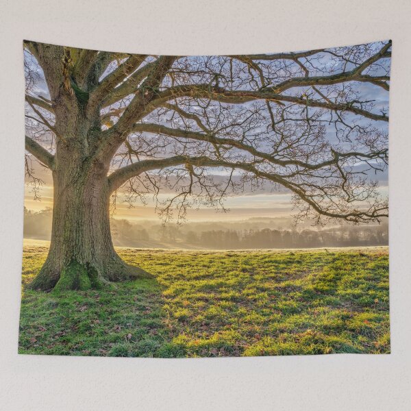 Item preview, Spreading Branches designed and sold by assaf.