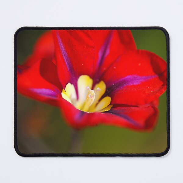 Item preview, Purple Strip Red Flower  designed and sold by Joy Watson - Natural Light Photography .