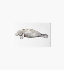 Manatee Art Board