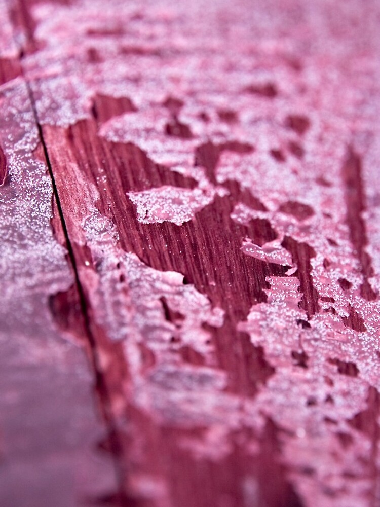 Barrique by wineimages