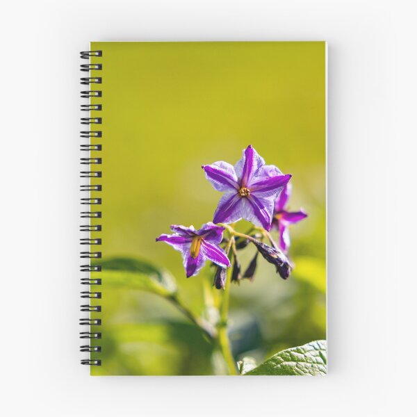 Item preview, Cute little purple flower, spring time, close up nature. designed and sold by AylaHarbich.