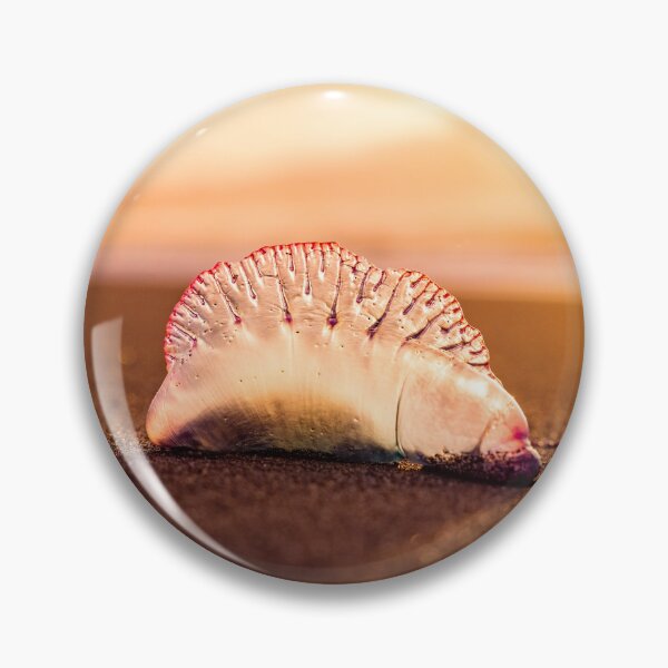 Item preview, Man o war in sunset, jellyfish with amazing colors. designed and sold by AylaHarbich.