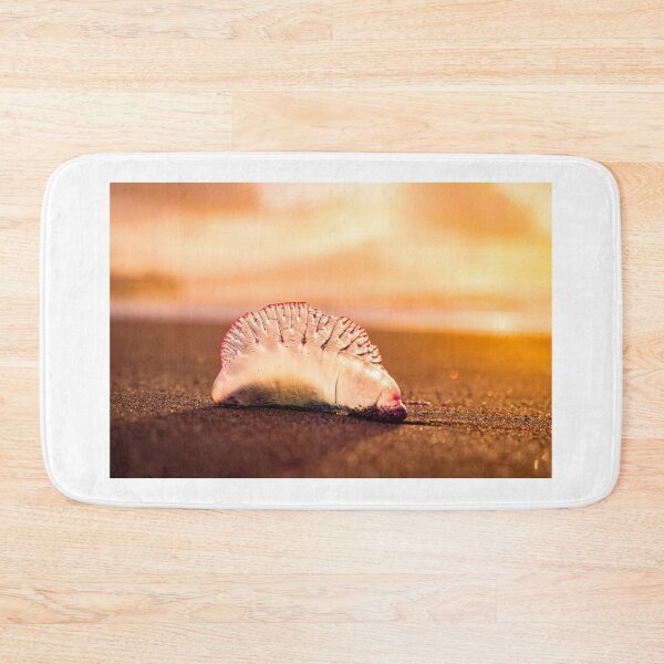Item preview, Man o war in sunset, jellyfish with amazing colors. designed and sold by AylaHarbich.