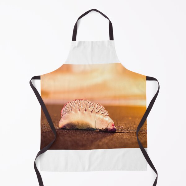 Item preview, Man o war in sunset, jellyfish with amazing colors. designed and sold by AylaHarbich.