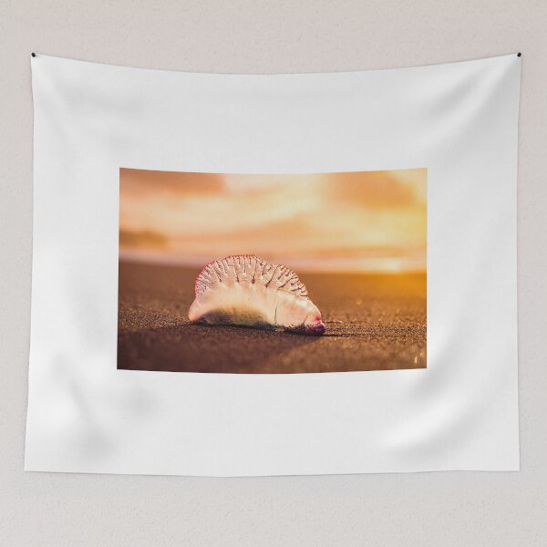 Item preview, Man o war in sunset, jellyfish with amazing colors. designed and sold by AylaHarbich.