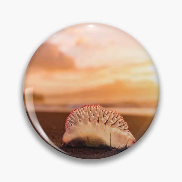 Item preview, Man o war in sunset, jellyfish with amazing colors. designed and sold by AylaHarbich.