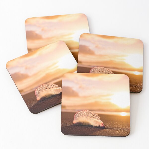 Item preview, Man o war in sunset, jellyfish with amazing colors. designed and sold by AylaHarbich.