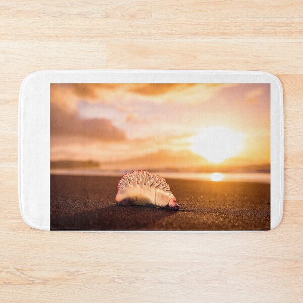 Item preview, Man o war in sunset, jellyfish with amazing colors. designed and sold by AylaHarbich.