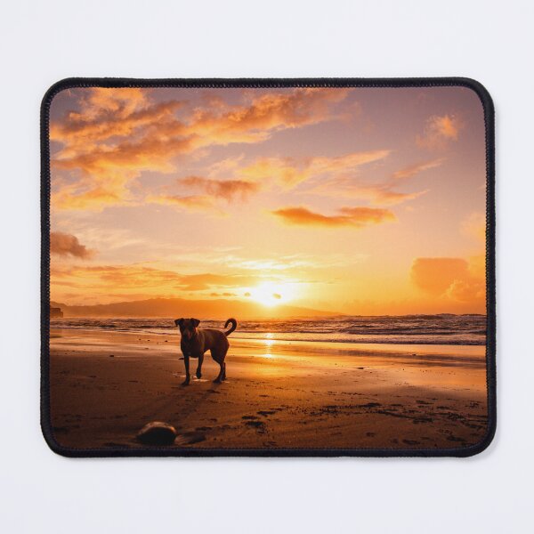 Item preview, Beach sunset, dog silhouette, amazing landscape, nature photography. designed and sold by AylaHarbich.