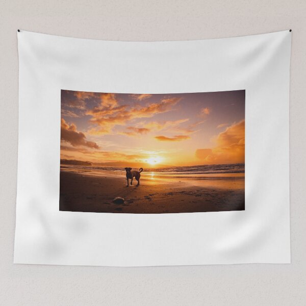 Item preview, Beach sunset, dog silhouette, amazing landscape, nature photography. designed and sold by AylaHarbich.