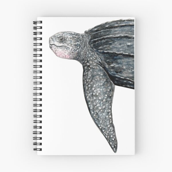 Item preview, Leatherback turtle (Dermochelys coriacea) designed and sold by chloeyzoard.