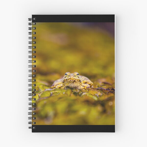 Item preview, Cute frog, in pond, looking curious, green colors. designed and sold by AylaHarbich.